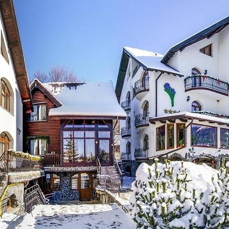 Pensiunea Crocus - Sauna & Billiard Пояна-Брашов Экстерьер фото