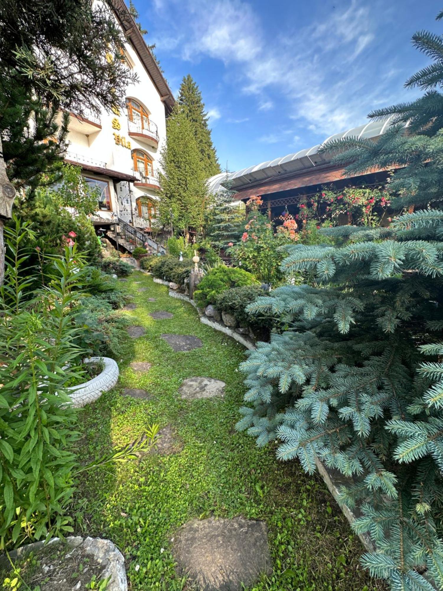Pensiunea Crocus - Sauna & Billiard Пояна-Брашов Экстерьер фото